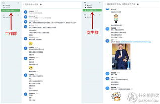 原創新人省小錢辦大事 群暉DS216 II網絡存儲NAS服務器搭建數據中心靠譜嗎？